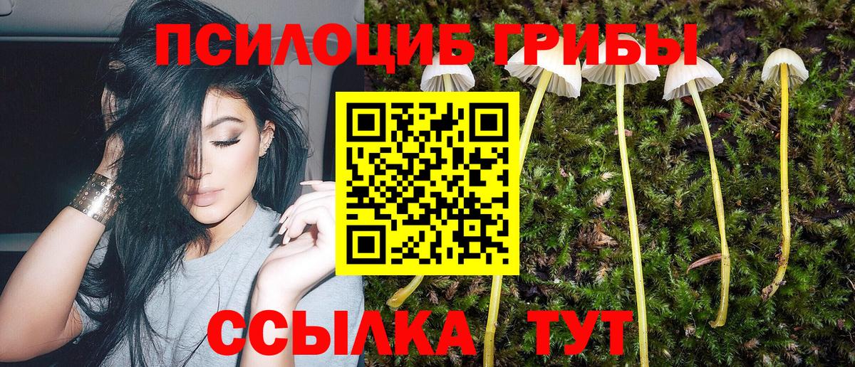 Галлюциногенные грибы мухоморы  Галлюциногенные грибы Magic Shrooms  Вход с VPN  Заинск 